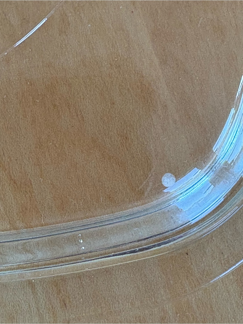 Corningware White Casserole with Blue Cornflower Pattern and Glass Lid - Picture 9 of 15